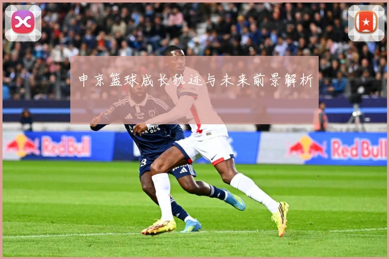 申京篮球成长轨迹与未来前景解析