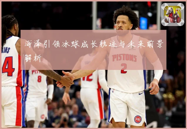 海泽引领冰球成长轨迹与未来前景解析