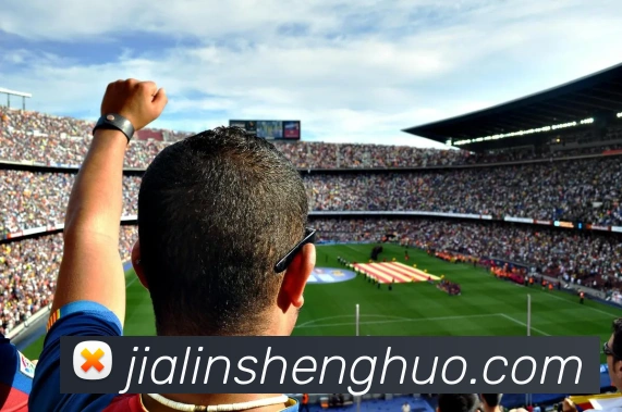 开云app平台生态图